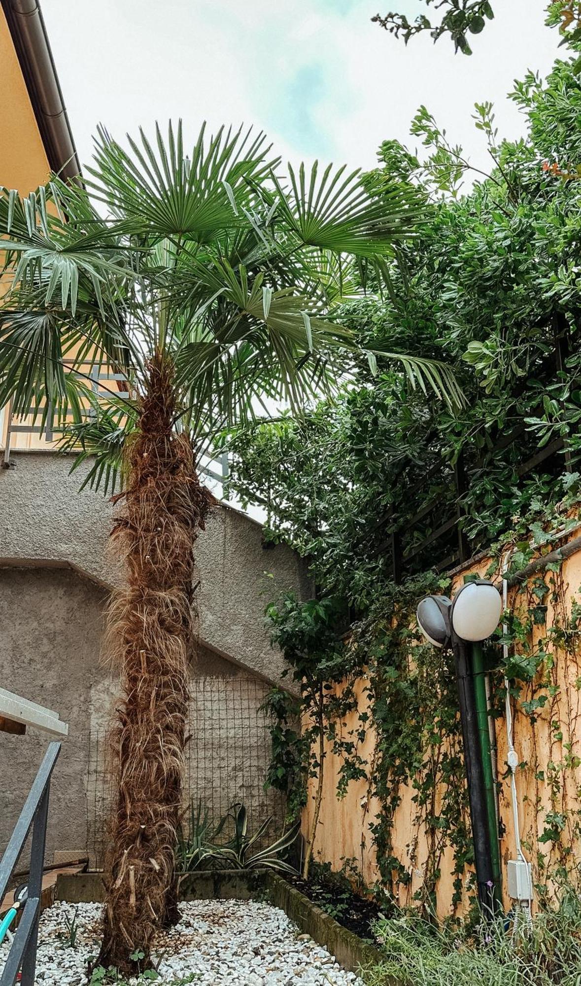 Apartmani Jelena Οπατία Εξωτερικό φωτογραφία